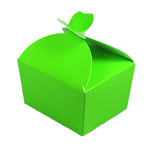 Box 250 gr  butterfly vert pomme laque