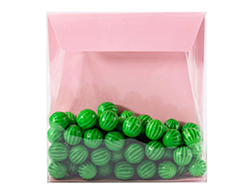 Pochette transparant L160xW50/H170mm lotus