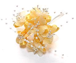 Parelboekje, goldyellow