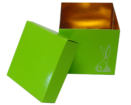 Cubebox Bunny L100xW100x95mm Vert pomme laqué