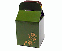Cubebox 75x75x75 Autumn design  Vert foret laque