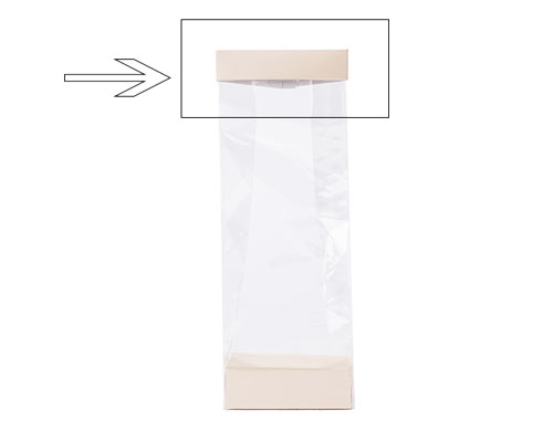 Arosa clip 100mm seashell